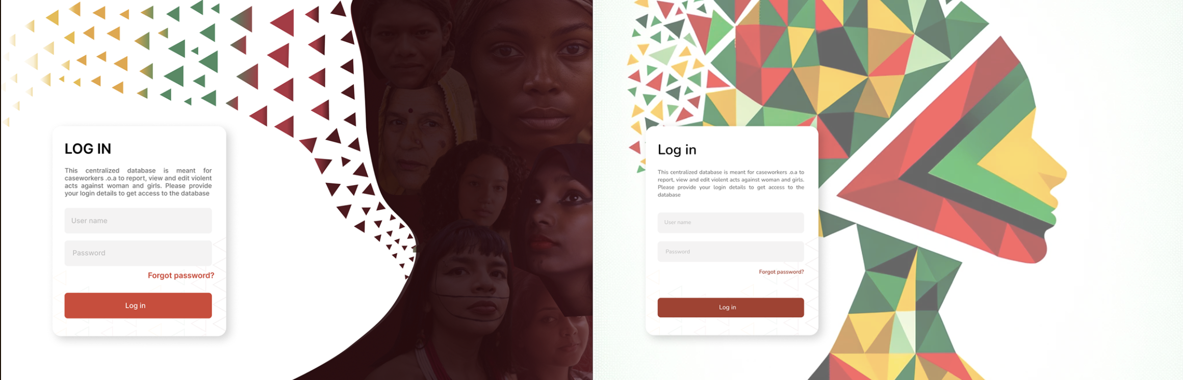 Cultural integration — color palette and identity